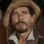 Festus