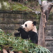 星星那么多你要哪一个~