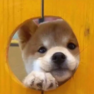 九九天天立大过t-t