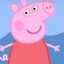PETPET PEEK