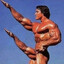 Arnold Шварцзигер
