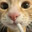 ᵐⁱᶜʳᵒʷᵃᵛᵉ