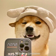 对方正在输入...