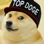 Top Doge