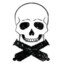 Jolly Roger Raider