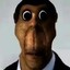 OBUNGA