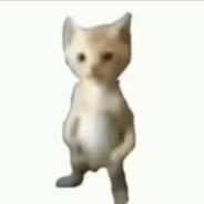 BOT EDN 猫咪王的真身