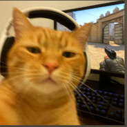 可乐番茄炒科比.