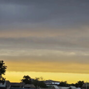 翻斗花园菜鸟乖乖