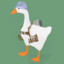 MedicalGoose