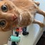 JimmitheGinger