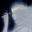 godspeed's avatar