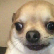 今晚必睡蔡徐坤