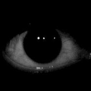 temaki_comida_japonesa