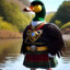 Lord Duck