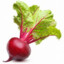 Beet