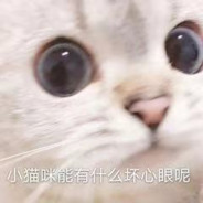猫猫能有什么坏心眼呢