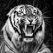 csgetto.love KING VON