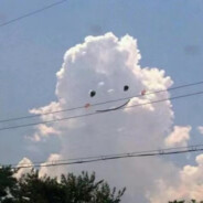 黑虎扑食困小羊