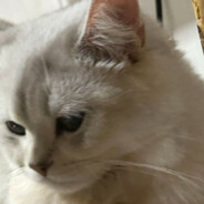 拔剑四顾心茫然