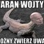 Waran Kojtyła GROŹNY ZWIERZ