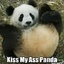 Panda&#039;s Ass