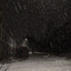 HiveliXS_Night's avatar