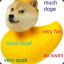 DogeDuck