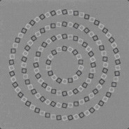 只以白嫖乱天下