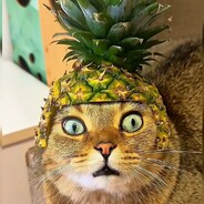 请叫我全名达闻西