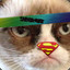 Super Cat