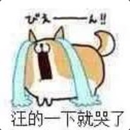汪的一下就哭了