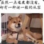 我回头看了一眼