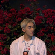 她会陪我看日落吗