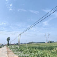 Su1Feng