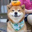 小星同学