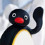 Pingu