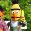 Bert