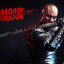ShadowStorm 44