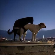 not the where but the who