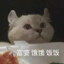 某y