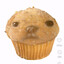 PIBBMUFF, negev enjoyer