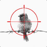 [SiN] Bird On a Wire