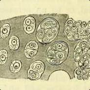 \u8fdb\u51fb\u7684\u5de8\u4eba