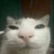 jimbo