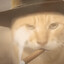 此猫有哈根 可以达斯了