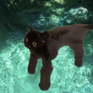 梨泰猫猫（邪恶潜水版