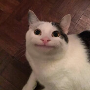 ENOO - steam id 76561199471773354