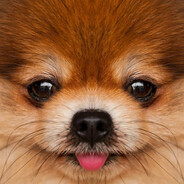 нормальный