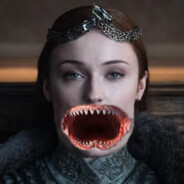 Sansa Shark
